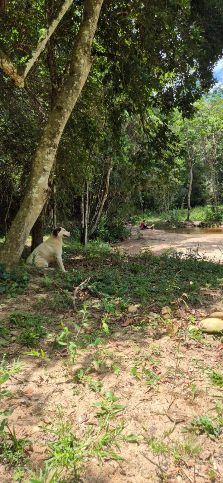 Pousada Fazenda e Pesqueiro Chalé da serra Conceição da Ibitipoca Extérieur photo
